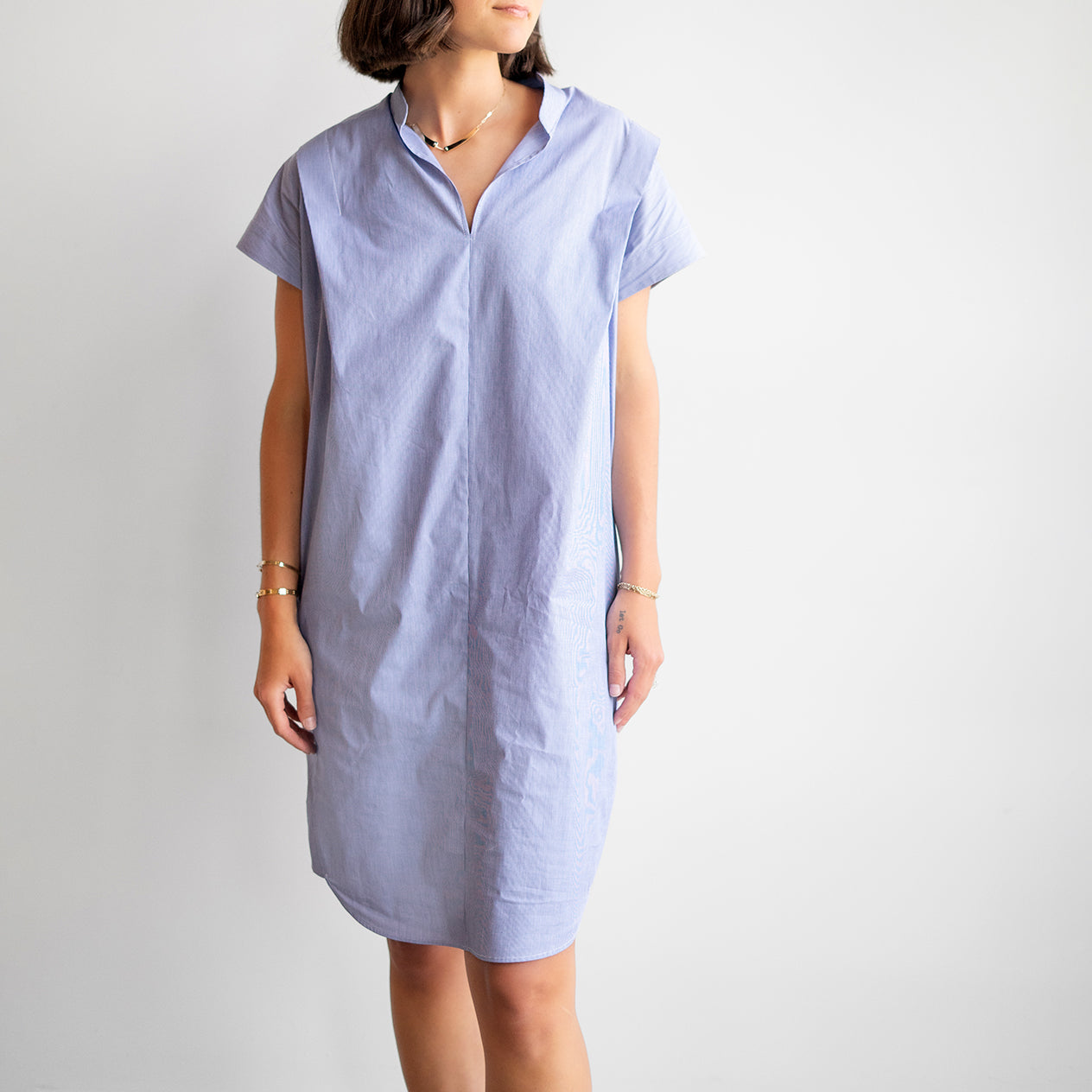 Pleat Circle Dress in Blue & White