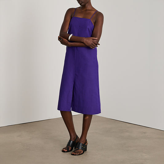 Etincelle Dress in Violet