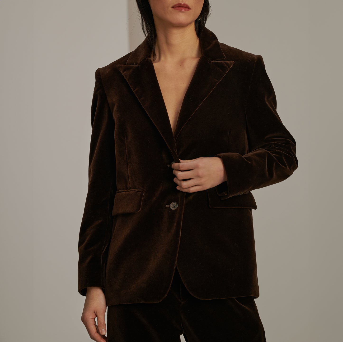 Cassiopee Velvet Blazer in Brown