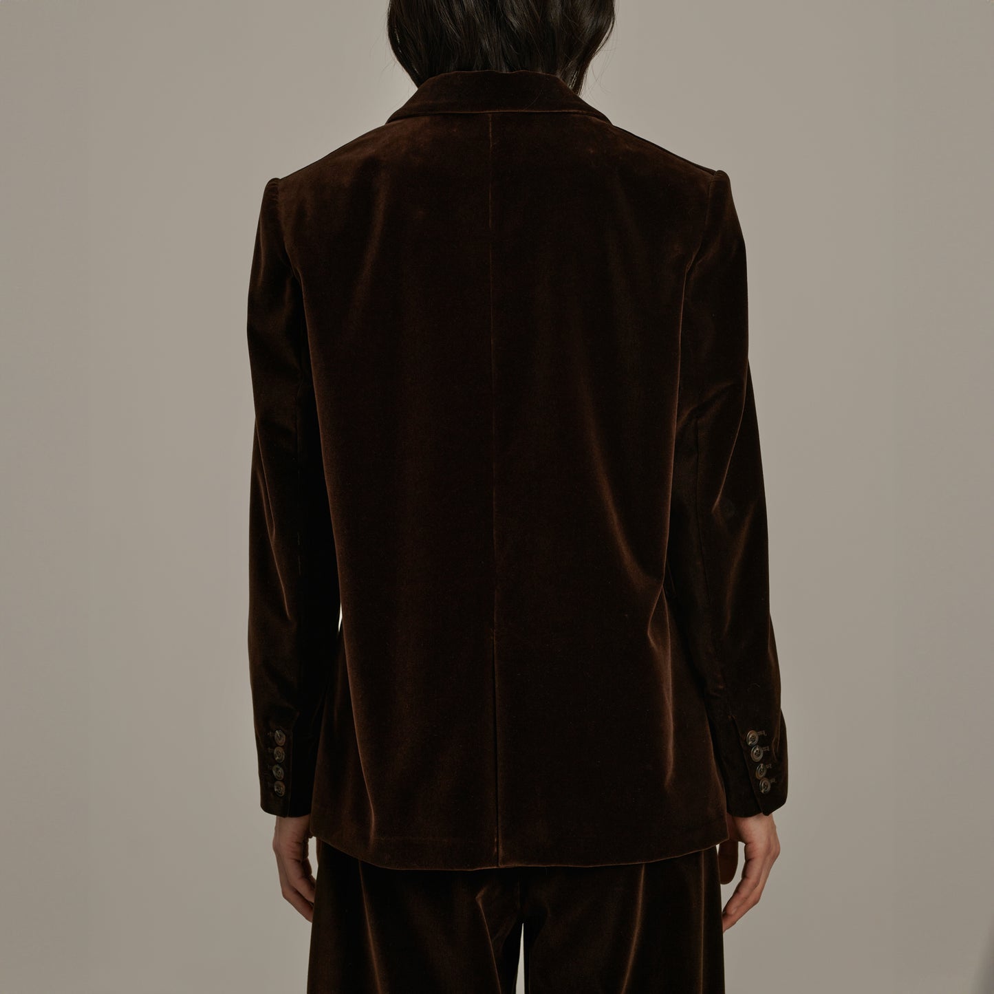 Cassiopee Velvet Blazer in Brown