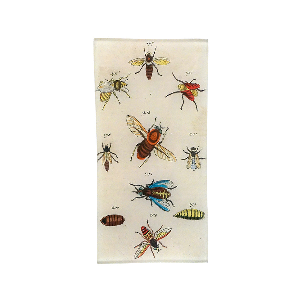 Bees & Bugs Rectangular Tray