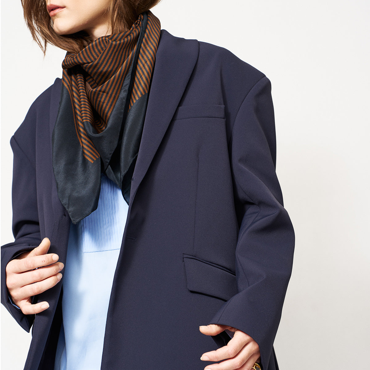 Border Silk Scarf in Signature Stripe