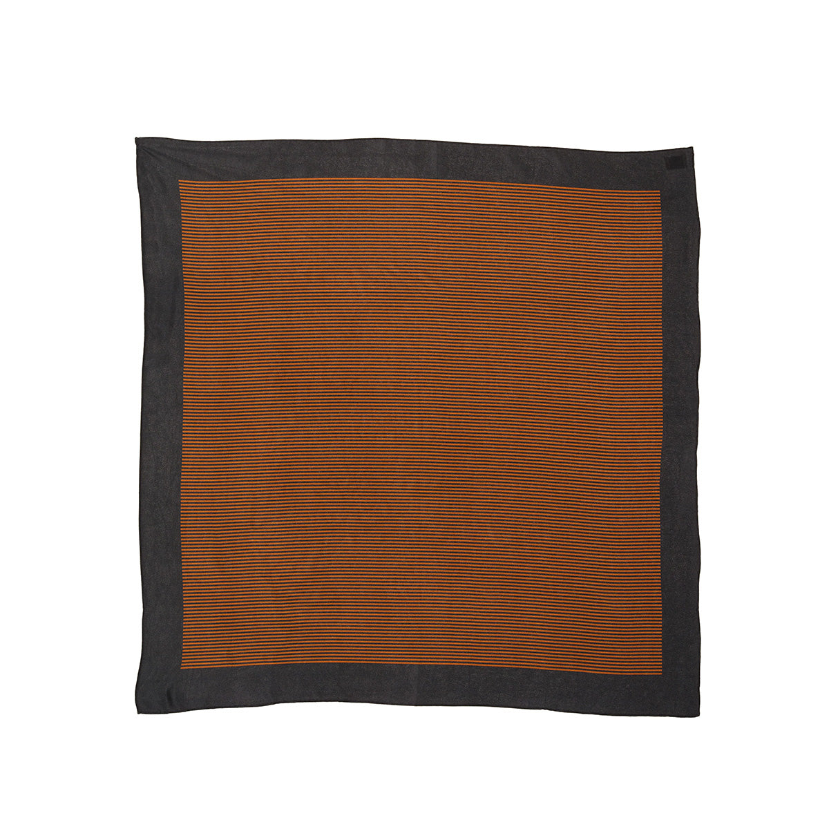 Border Silk Scarf in Signature Stripe