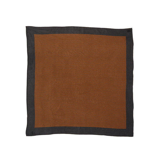Border Silk Scarf in Signature Stripe