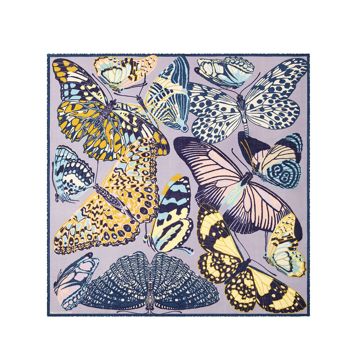 Papillons Scarf in Grey