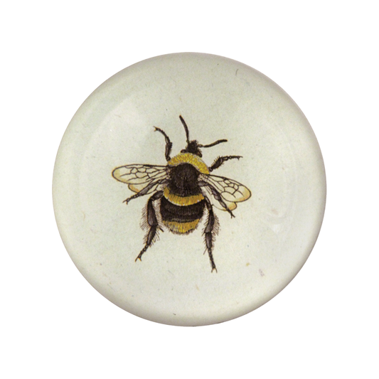 Striped Bee Dome Paperweight