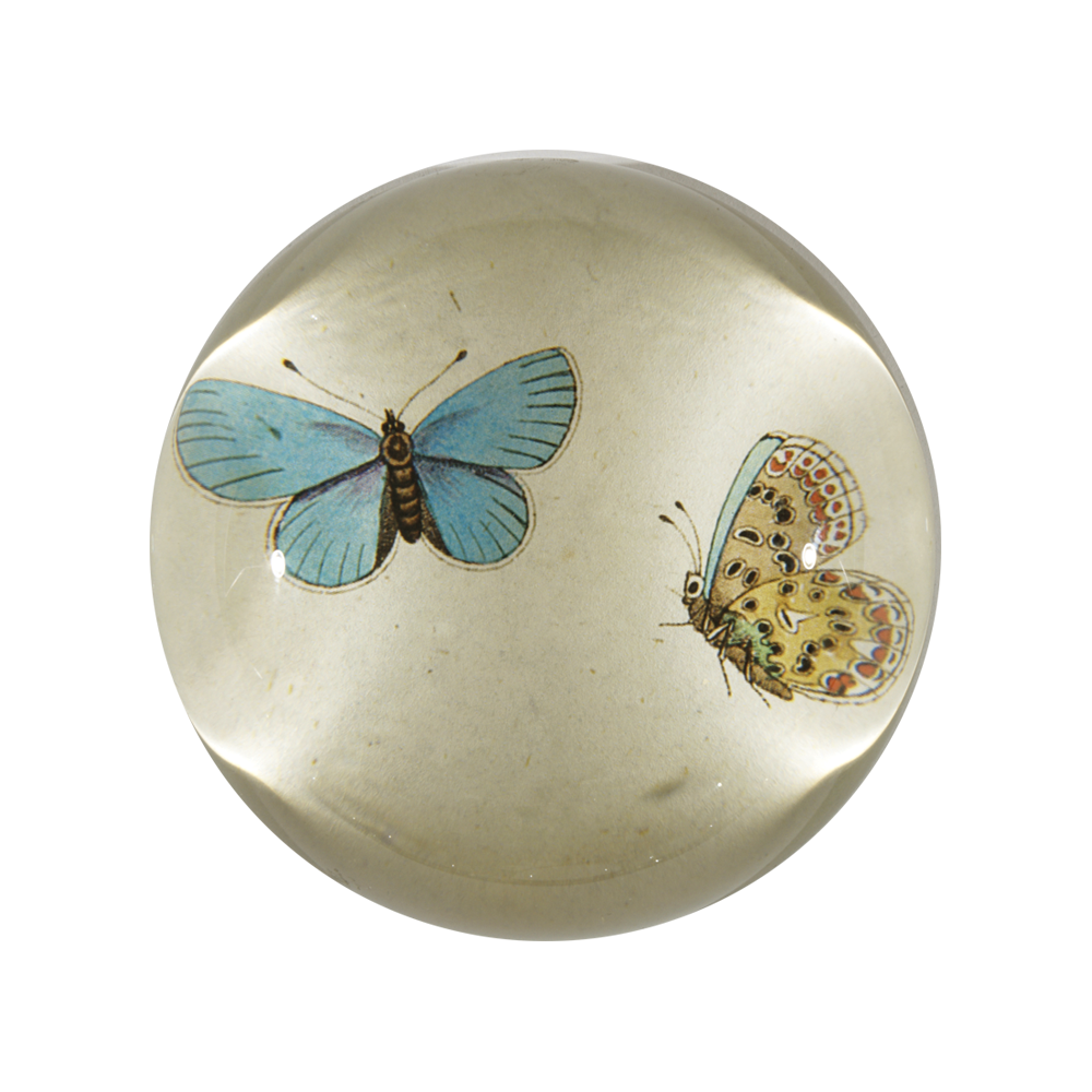 Blue Butterflies Dome Paperweight