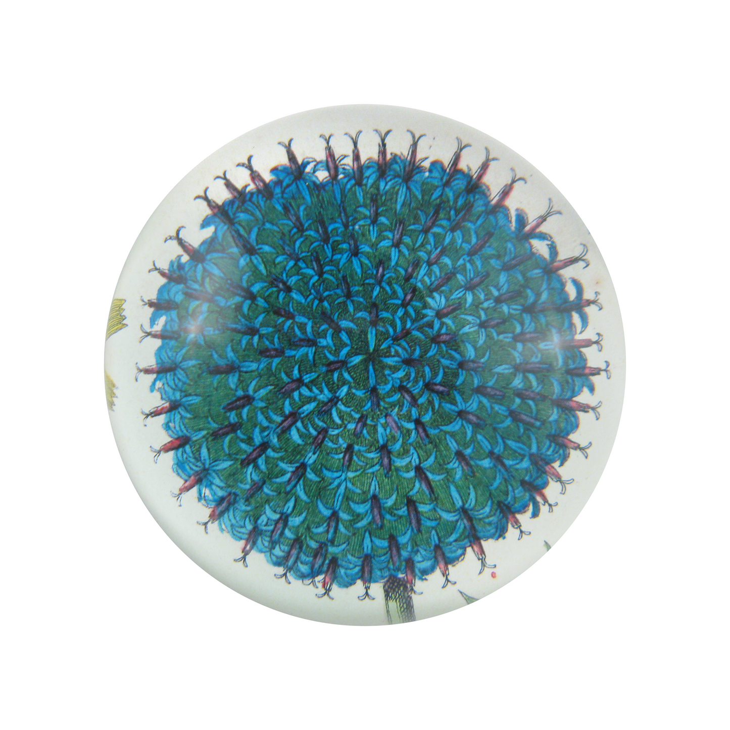 Blue Flower Dome Paperweight