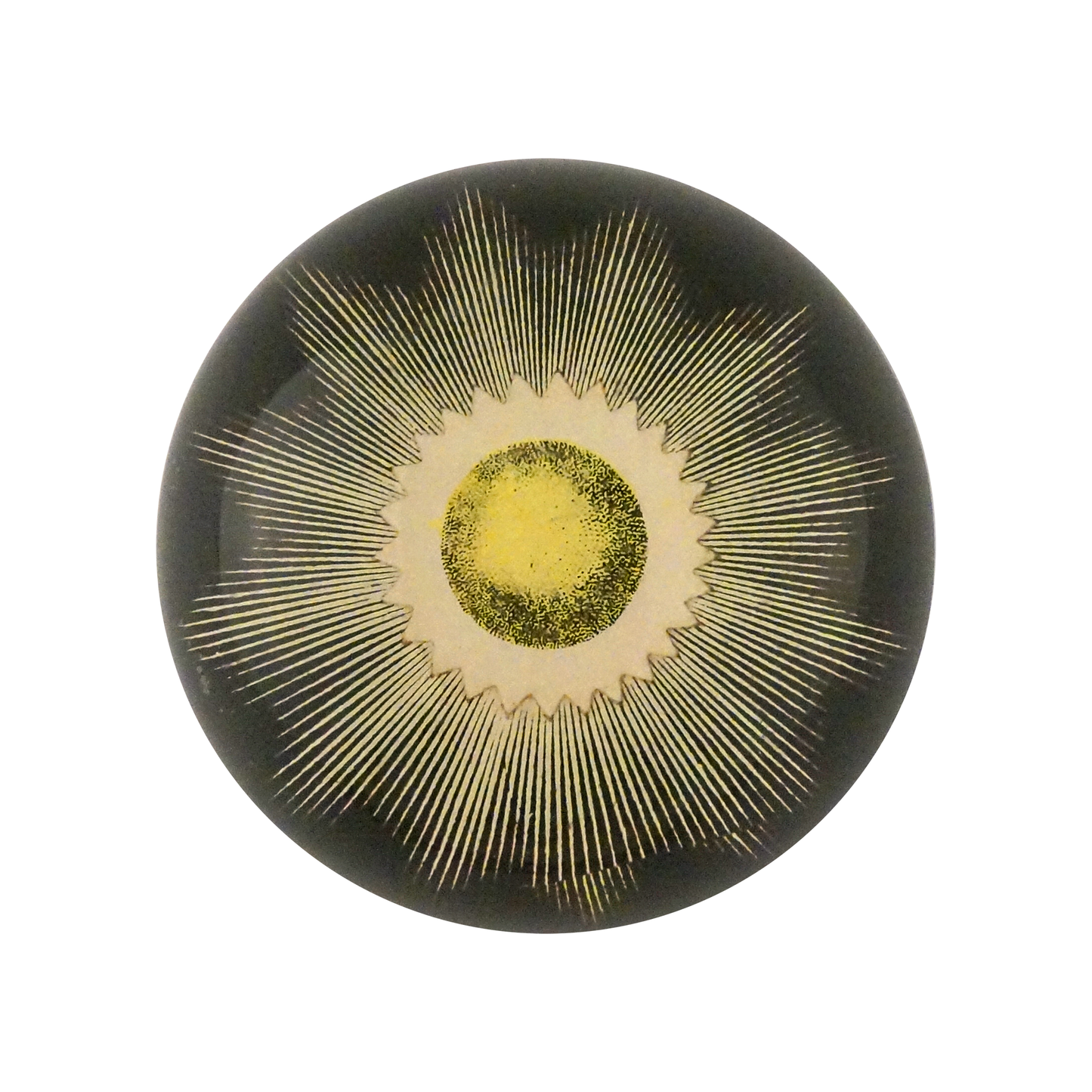 Eclipse II Dome Paperweight