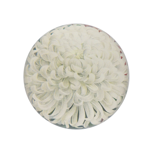 White Chrysanthemum Dome Paperweight