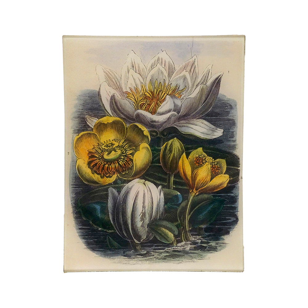 Water Lilies Rectangular Tray