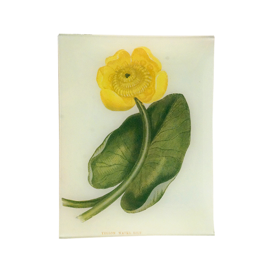 Yellow Water Lily Rectangular Tray