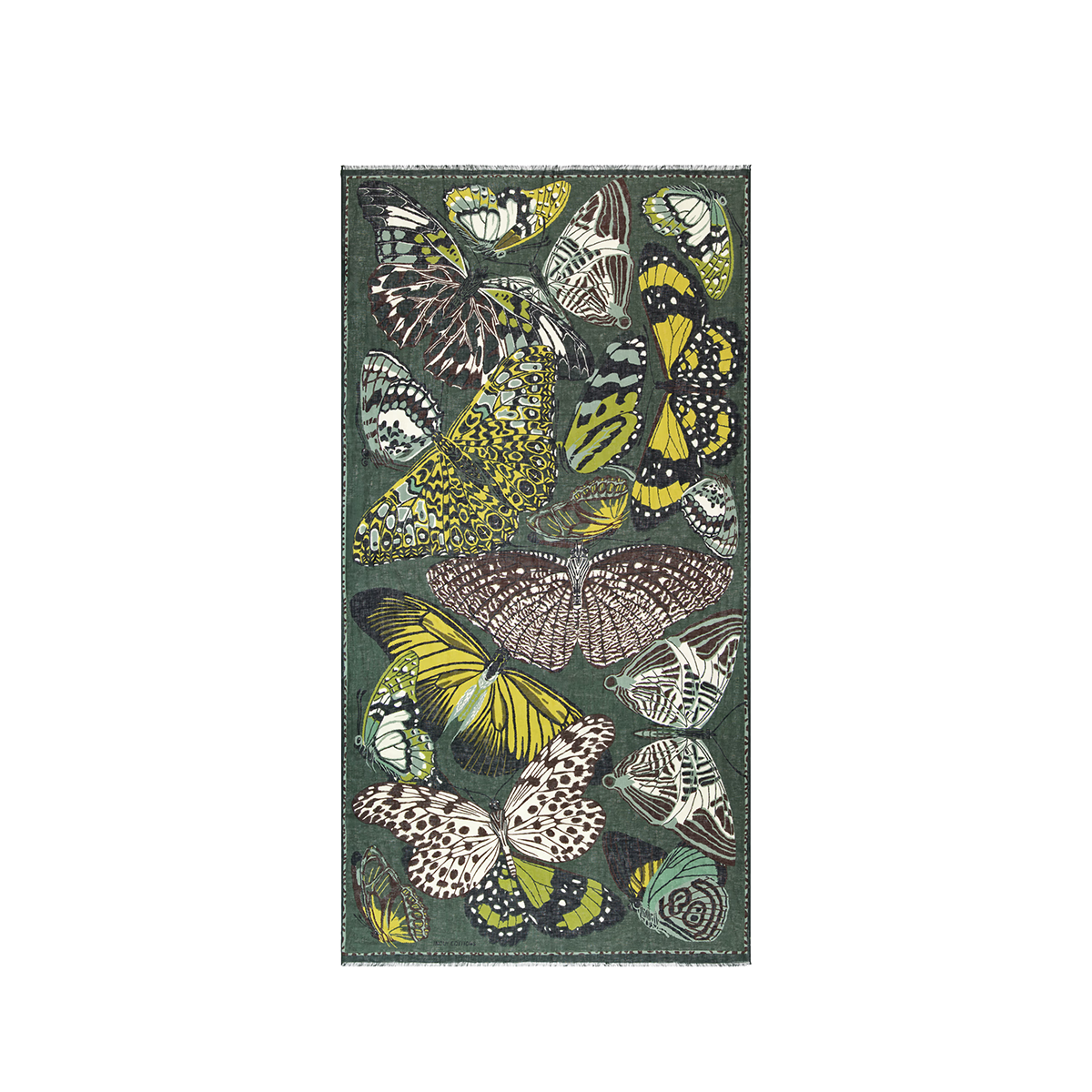 Papillions Scarf in Khaki