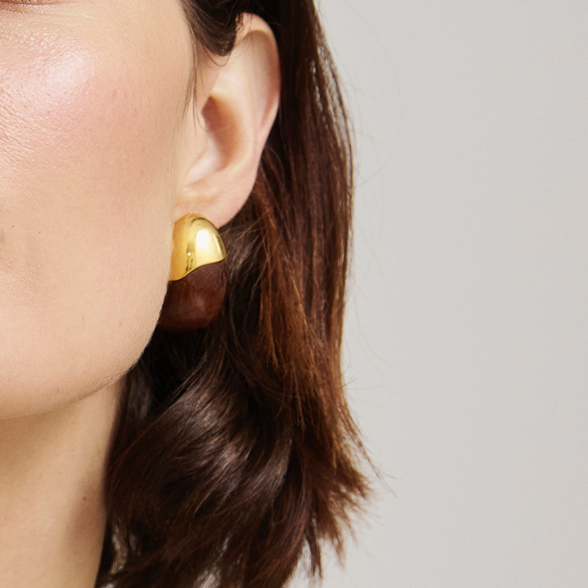 Toro Earrings in Brown
