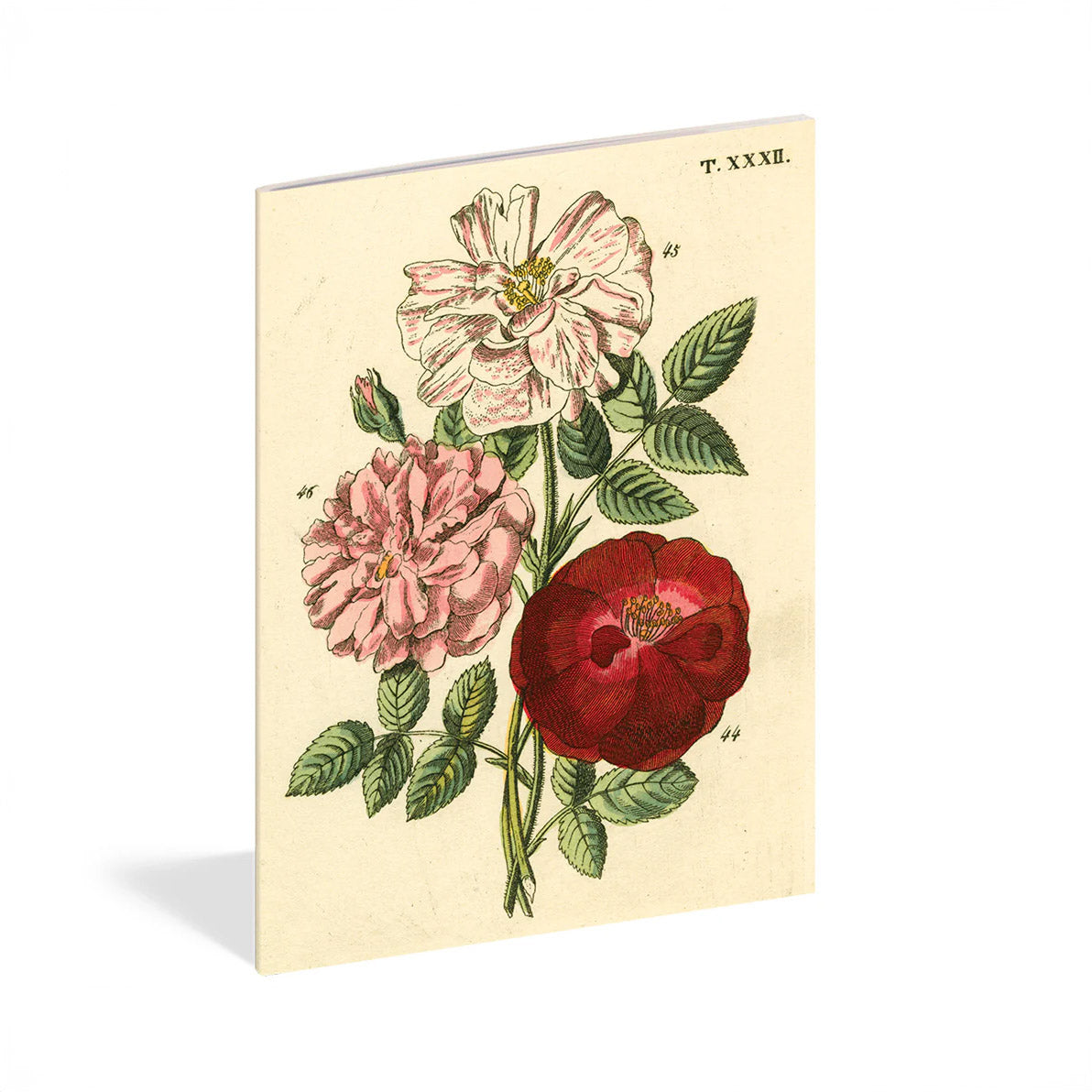 Everything Roses Notebook Set