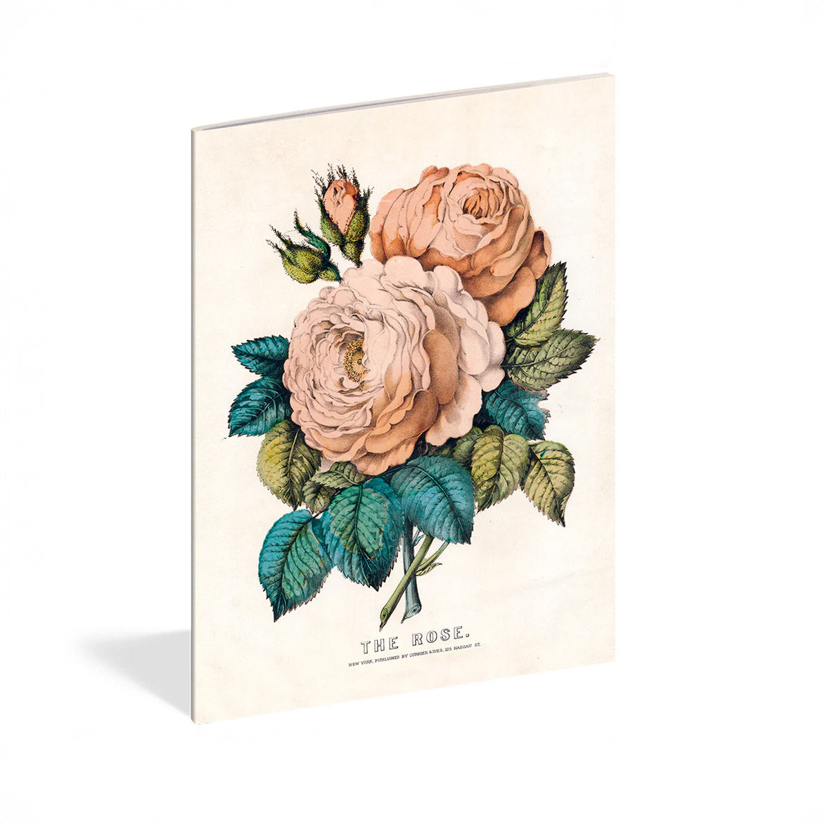 Everything Roses Notebook Set