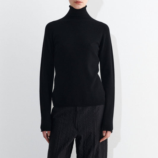 Kashi Turtleneck Sweater in Black