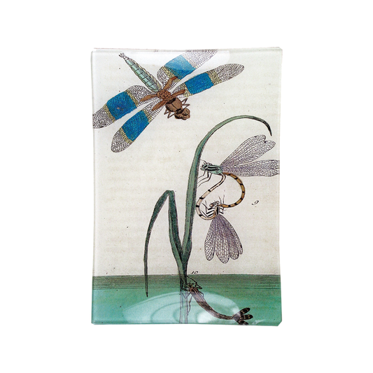 Dragonfly Over Water Mini Tray