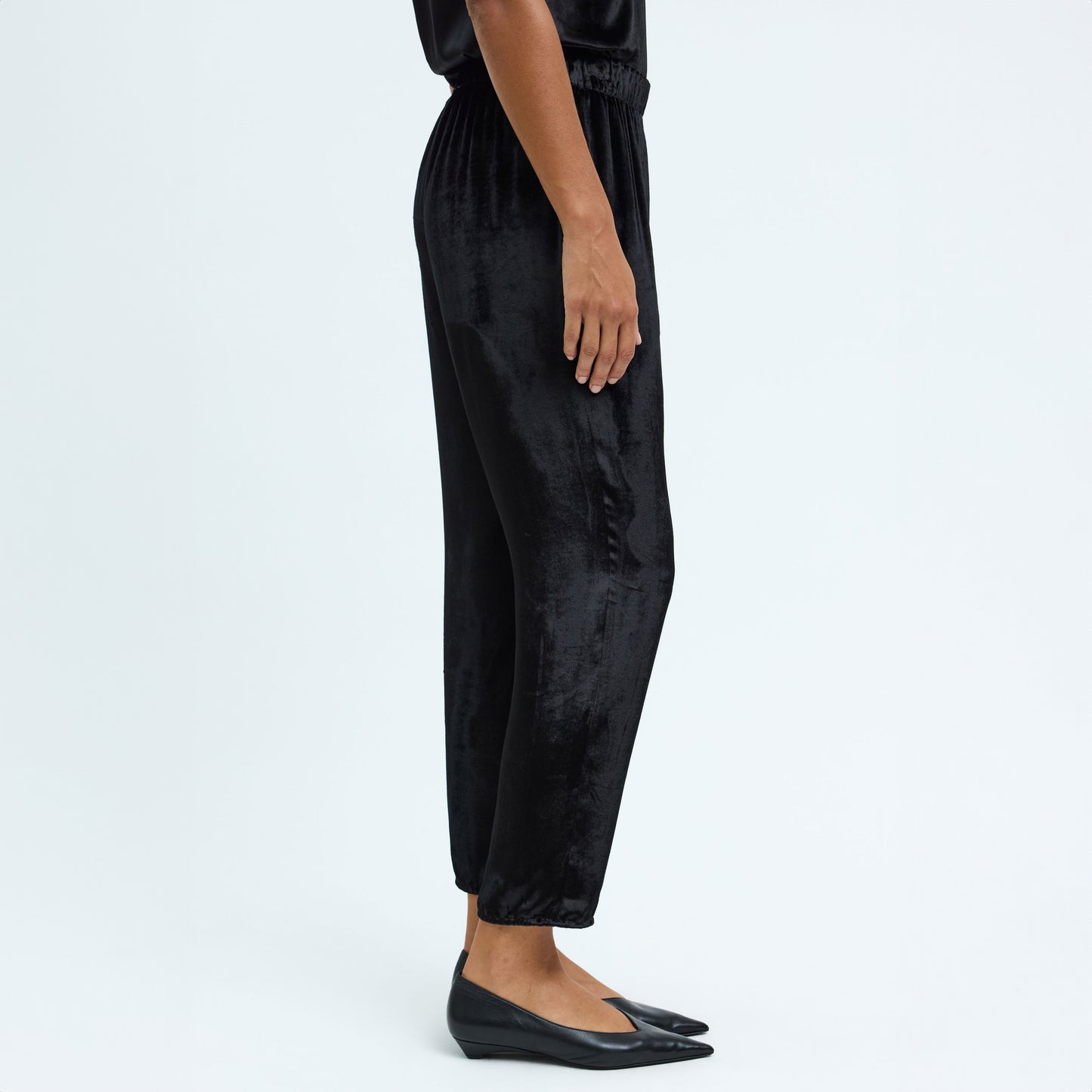 Velvet Fez Pant in Black