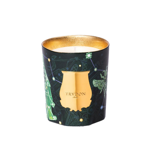 Fir - Christmas Tree