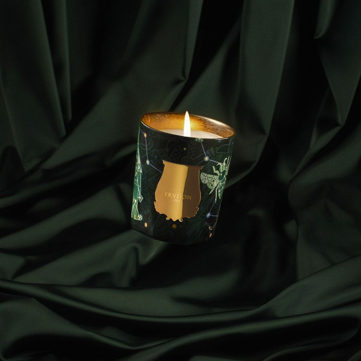 Fir - Christmas Tree