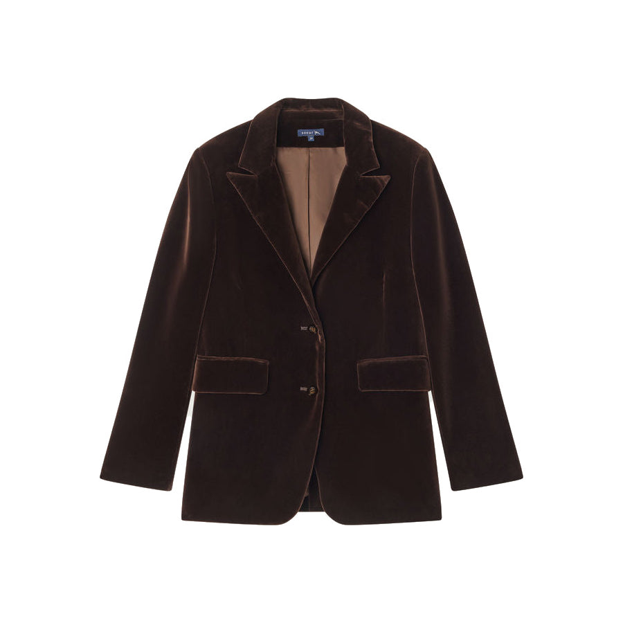 Cassiopee Velvet Blazer in Brown